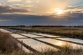 Salt marshes on the island of Noirmoutier in France.