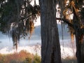 The sun rises on a small lake in Florida