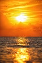 The sun is rising. Beautiful sunrise over the sea and flying bird Royalty Free Stock Photo