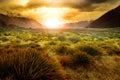 Sun rising behind grass field in open country of new zealand sce Royalty Free Stock Photo