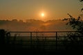 Sun Rising Through Fog Royalty Free Stock Photo