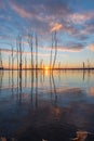 Sun rising over a lake in New Jersey