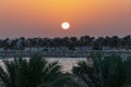 The sun rising over palm trees and the Red Sea in Hurghada, Egypt Royalty Free Stock Photo