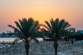 The sun rising over palm trees and the Red Sea in Hurghada, Egypt Royalty Free Stock Photo