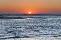 Sun rising over the sea with pelican and seagulls