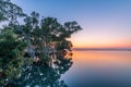 The sun rising over still waters with in a mangrove forest