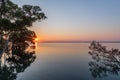 The sun rising over still waters with in a mangrove forest