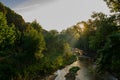 Sun rising shining through green leaves tree forest over a stream river landscape in Girona, Catalonia