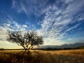 Sun rising in Vistoso Preserve Oro Valley Arizona USA