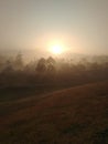 The sun rose and was surrounded by fog Royalty Free Stock Photo