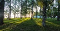 The sun's rays in the city park