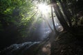 The sun`s rays illuminate the dark gorge