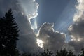 Sun`s rays make their way through the clouds in the blue sky. Left and below are the black silhouettes of trees. Royalty Free Stock Photo