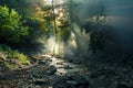 The sun`s rays make their way through the morning mist against the backdrop of a mountain river and a forest. Picturesque forest l Royalty Free Stock Photo