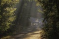 The sun`s rays in the middle of the trees. First frost on the forest road. Autumn season Royalty Free Stock Photo