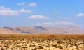 Sun-scorched landscape of the Socotra island, Yemen