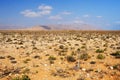 Sun-scorched landscape of the Socotra island, Yemen