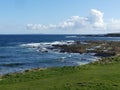 Coastline of the Isle of Orkney Royalty Free Stock Photo