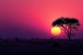 The sun is seen setting behind a tree in an open field, casting long shadows on the ground, A minimal sunset in an African savanna Royalty Free Stock Photo