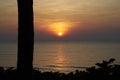 Sun set at beach with tree stem silhouette Royalty Free Stock Photo