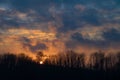 Sun set behind bare trees in winter - golden rules Royalty Free Stock Photo