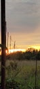 Sun set forest power pole Royalty Free Stock Photo