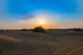 Sun set, Thar desert. Barren land , sand dunes of Jaisalmer, Rajasthan, India Royalty Free Stock Photo