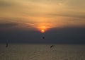 SUN SETS BEHIND CLOUD AND SEAGULLS