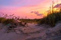 the sun sets behind a dune and beach grass as the waves roll in Royalty Free Stock Photo