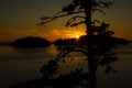 The sun sets behind the lake and peeps through the silhouettes of the trees on a beautiful summer sunset evening Royalty Free Stock Photo