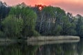 The sun sets behind trees on the shore of the lake Royalty Free Stock Photo