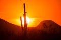 Sun sets in fire red sky behind saguaro cactus Royalty Free Stock Photo