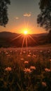 Sunset over the field, sunset over a meadow filled with flowers, casting long shadows and a warm glow over the landscape Royalty Free Stock Photo