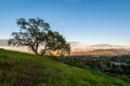 Dinosaur Hill Park at Sunset