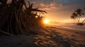 Sunrise Over Tropical Beach: A National Geographic Style Uhd Image