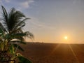 the sun sets over the rice fields