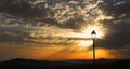 Sunbeams, viewed through a solitary lamp post, Sedella, Spain.