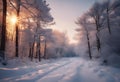 the sun sets on a snowy path through a forested woods Royalty Free Stock Photo