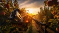 The sun is setting behind a row of fruit trees. AI generative image Royalty Free Stock Photo