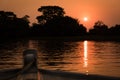 Sun setting behind silhouetted trees from boat