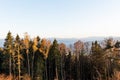 Sun setting behind spruce trees on a lush green slope. Tents and smoke in the distance. Several clouds in the orange sky at sunset Royalty Free Stock Photo