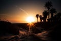 sun setting behind towering dunes, with silhouetted palm trees on the horizon Royalty Free Stock Photo