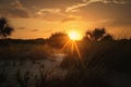 sun setting behind towering dunes, with silhouetted palm trees on the horizon Royalty Free Stock Photo