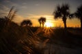 sun setting behind towering dunes, with silhouetted palm trees on the horizon Royalty Free Stock Photo