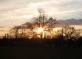 Sun setting behind a wintery treescape. Royalty Free Stock Photo