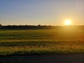 Sun setting down on green field