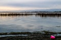 Sun setting on the fall colours around the lake. Battleford Provincial Park Saskatchewan Canada Royalty Free Stock Photo