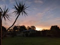 Sun Setting At The Farm At Crows Nest, Queensland, Australia