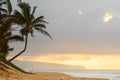 Sun setting over the crooked palm tree, beach and waves on Sunset Beach, Hawaii Royalty Free Stock Photo