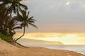 Sun setting over the crooked palm tree, beach and waves on Sunset Beach, Hawaii Royalty Free Stock Photo